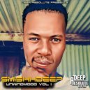 SmishhDeep Feat. S T A R Z Y - Abstract Rhythms (Original Mix)