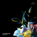 Solid Principles - In The Dark