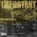 Var Don - Important ()