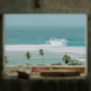 let me bloom feat. Dandelion Star - live to listen