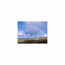 Sleep BGM Mindfulness - Rain sound and Rest