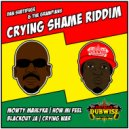 Subtifuge & The Grampians feat Blackout JA - Crying War