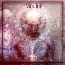 VibeTrip - Hallucination (Original Mix)