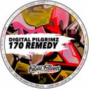 Digital Pilgrimz - Redeemerz Vision (Original Mix)