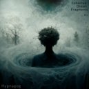 Hypnagog - Soul Shard