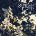 Martin Lucent - Spring Flower ()