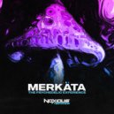 Merkäta - The Psychedelic Experience (Original Mix)