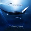 Aquascape - Marooned