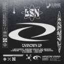 LSN, 9Trane - Infinity Pool (Original Mix)