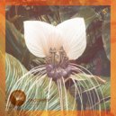 Daniel Rateuke - Wonim