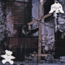 :DIED & BISK1L - GOP STOP ()