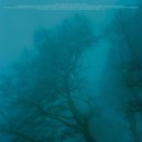 SEXYKISAPANTERA - Asylum ()