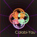 Volkonenkov - Calabi-Yau ()