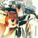 Noconocidos - Cuando viaje