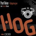 Peat Noise - Salgotarjan
