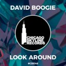 David Boogie - Look Around (Original Mix)