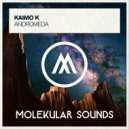 Kaimo K - Andromeda