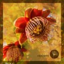 La Santa - Bunyi (Original Mix)