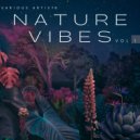 Dama Nostrus - Nibiru is Back (Original Mix)