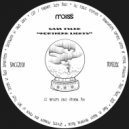 Sam Tyler - Northern Lights (Original Mix)
