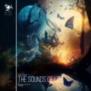 Sonic Scope - Reed Dance