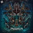 Piazer - Connections
