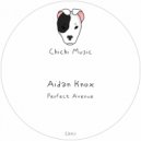 Aidan Knox - Perfect Avenue