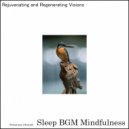 Sleep BGM Mindfulness - Revitalize Your Mindset