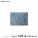 Sleep BGM Mindfulness - Zen Flute Music For Meditation (Original Mix)