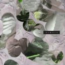Need For Mirrors - Mango (Original Mix)