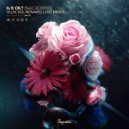 VLLN, Sol Novaro, Lost Minds feat. ROBINS - Is It Ok? (Extended Mix)