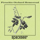 spaceseer - Boma Farmer's Market