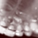 DANKWAY & obrazx - TULI ()