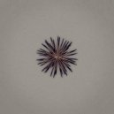 aeseaes & a_couple_streams - seven nation army