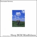Sleep BGM Mindfulness - Deep Harmony (Original Mix)