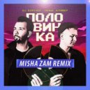DJ DimixeR, Денис Клявер - Половинка (Misha ZAM Radio Edit)