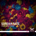 Gordian Rate - 3rd Contact (Original Mix)
