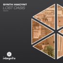 Synth Hiacynt - Lost Oasis (Extended Mix)