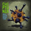 Chiptunza - Molecular Reduction ()