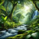 Rainforest Rhythms Collective - Nocturnal Symphony