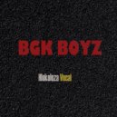BGK Boyz - Hlokoloza vocal ()