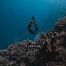 Like Mike, Braev, Adam Sellouk - The Night (TH;EN Extended Remix)