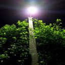 pinkless - Lost Signal ()