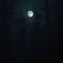 MK2236 & Yooniks - Gloomy Dream ()