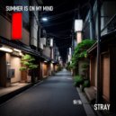 Summer is on my mind - Stray ()