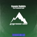 Cosmic Rabbits - The Promised Land