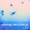 Peter Pearson - Calming Influences