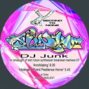 DJ Junk - Welcome To The Jungle