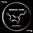 Brendan James - Stranga