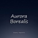 Arseny Kapustin - Aurora Borealis ()